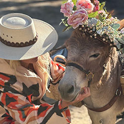 Safe and gentle donkey at a Central California party